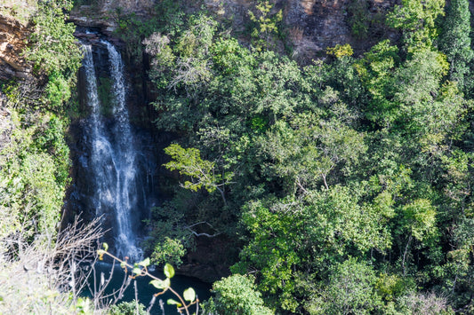 Crossroads - Guatemala/Burundi - Dark