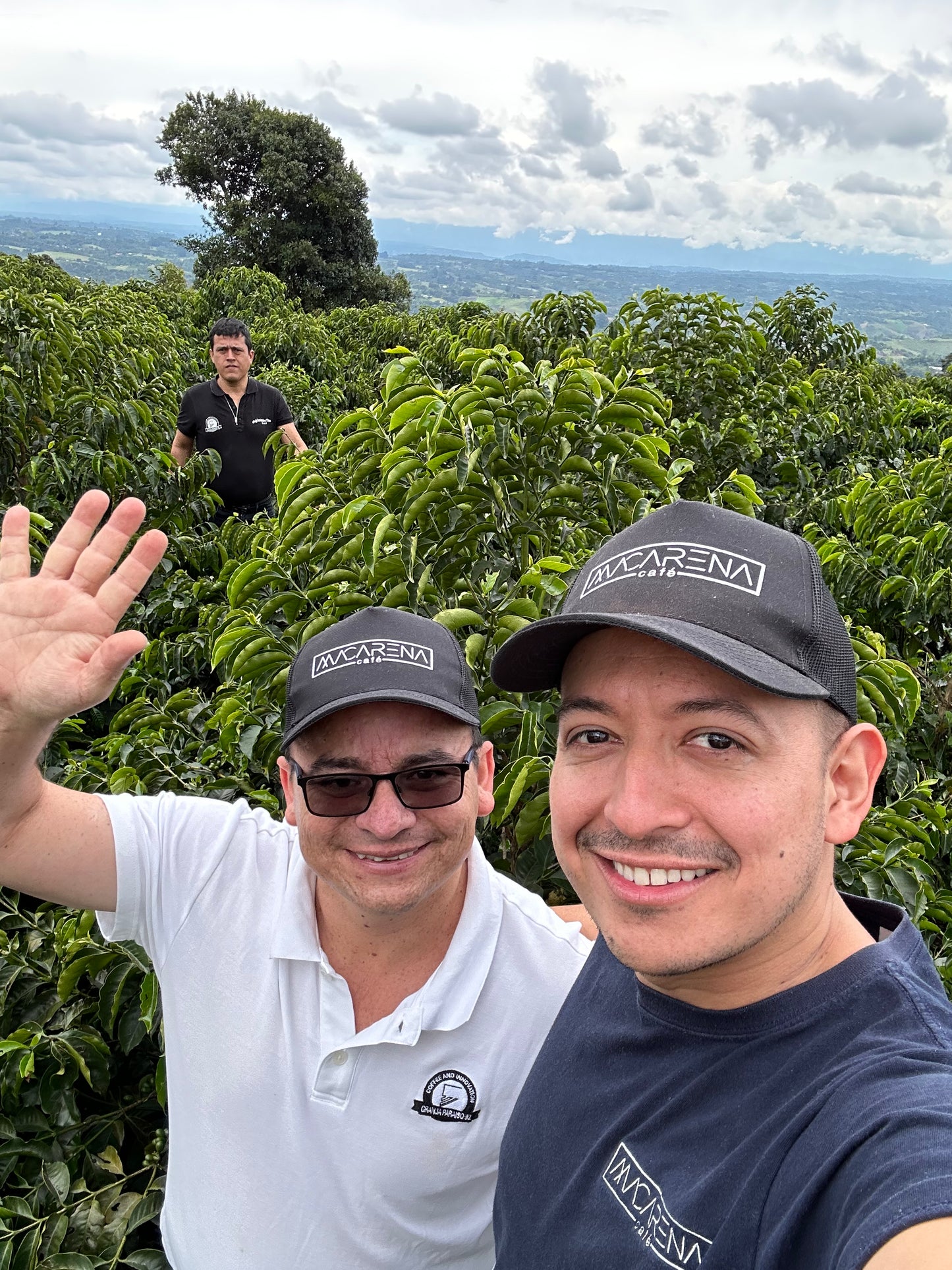 Granja El Paraiso 92 - EA Decaf - Wilton Benitez - Washed Thermal Shock Double Anaerobic - Colombia - Light
