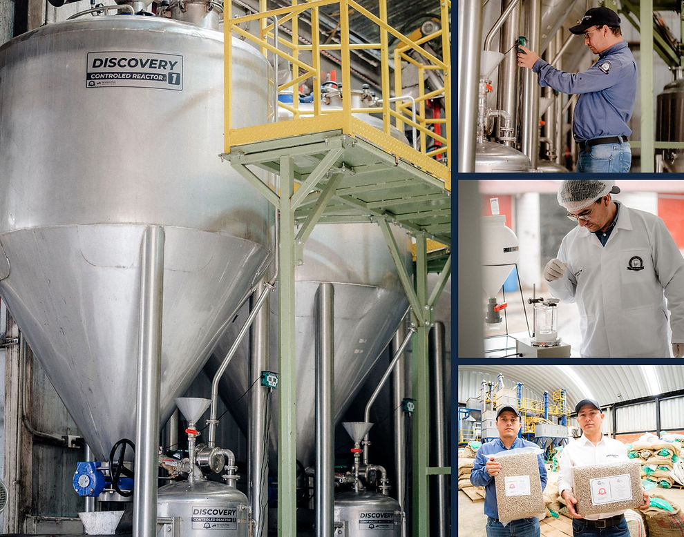 Granja El Paraiso 92 - Silver - Wilton Benitez - Washed Thermal Shock Anaerobic - Colombia - Light