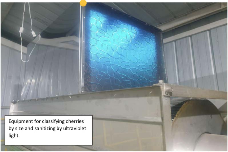 Granja El Paraiso 92 - EA Decaf - Wilton Benitez - Washed Thermal Shock Double Anaerobic - Colombia - Light