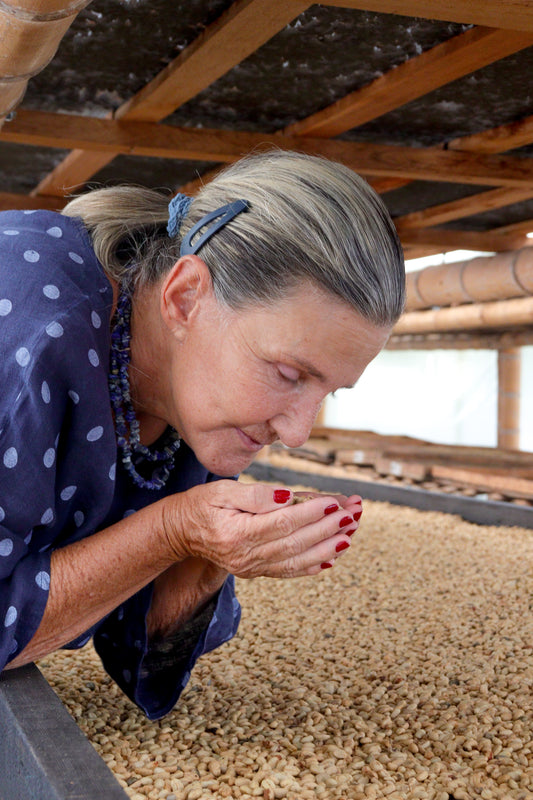 La Leona - Honey -Swiss Water Decaf - Columbia - Light