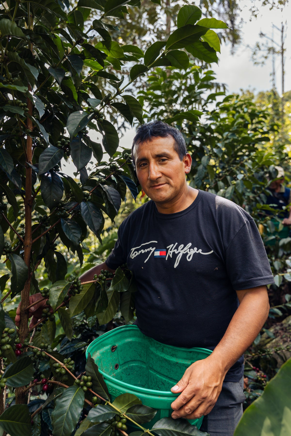 Felipe Estela | Peru Washed Light Roast Coffee Beans
