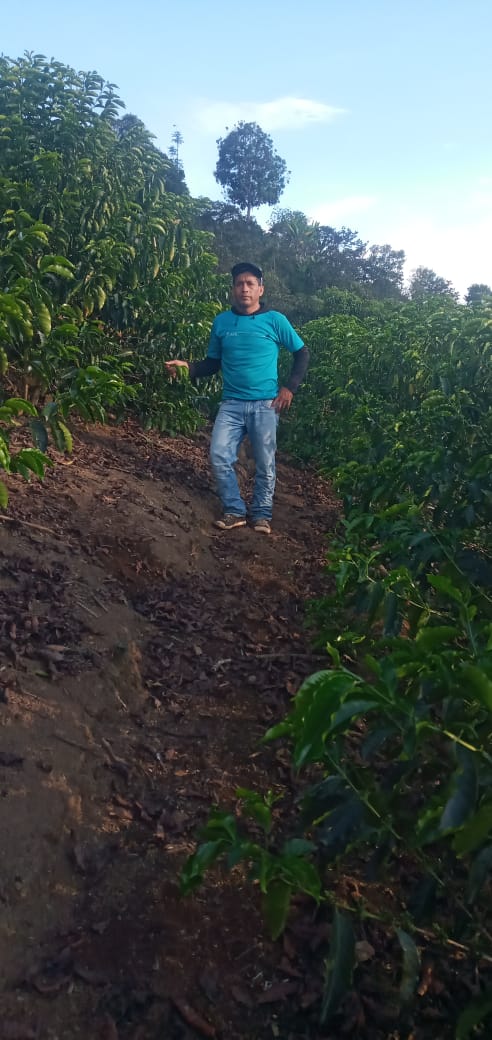 Victor Carhuapomah - Peru - Washed -Gesha