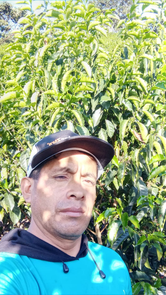 Victor Carhuapomah - Peru - Washed -Gesha