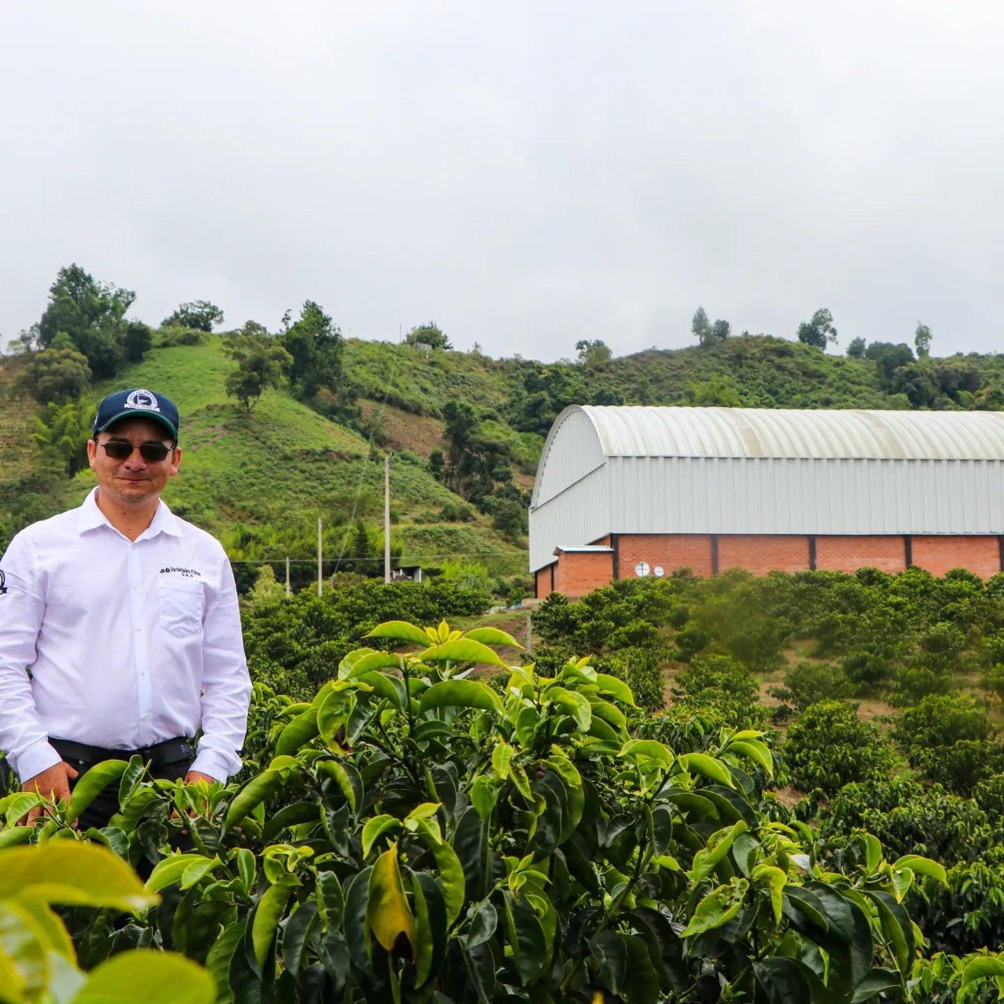 Granja El Paraiso 92 - EA Decaf - Wilton Benitez - Washed Thermal Shock Double Anaerobic - Colombia - Light