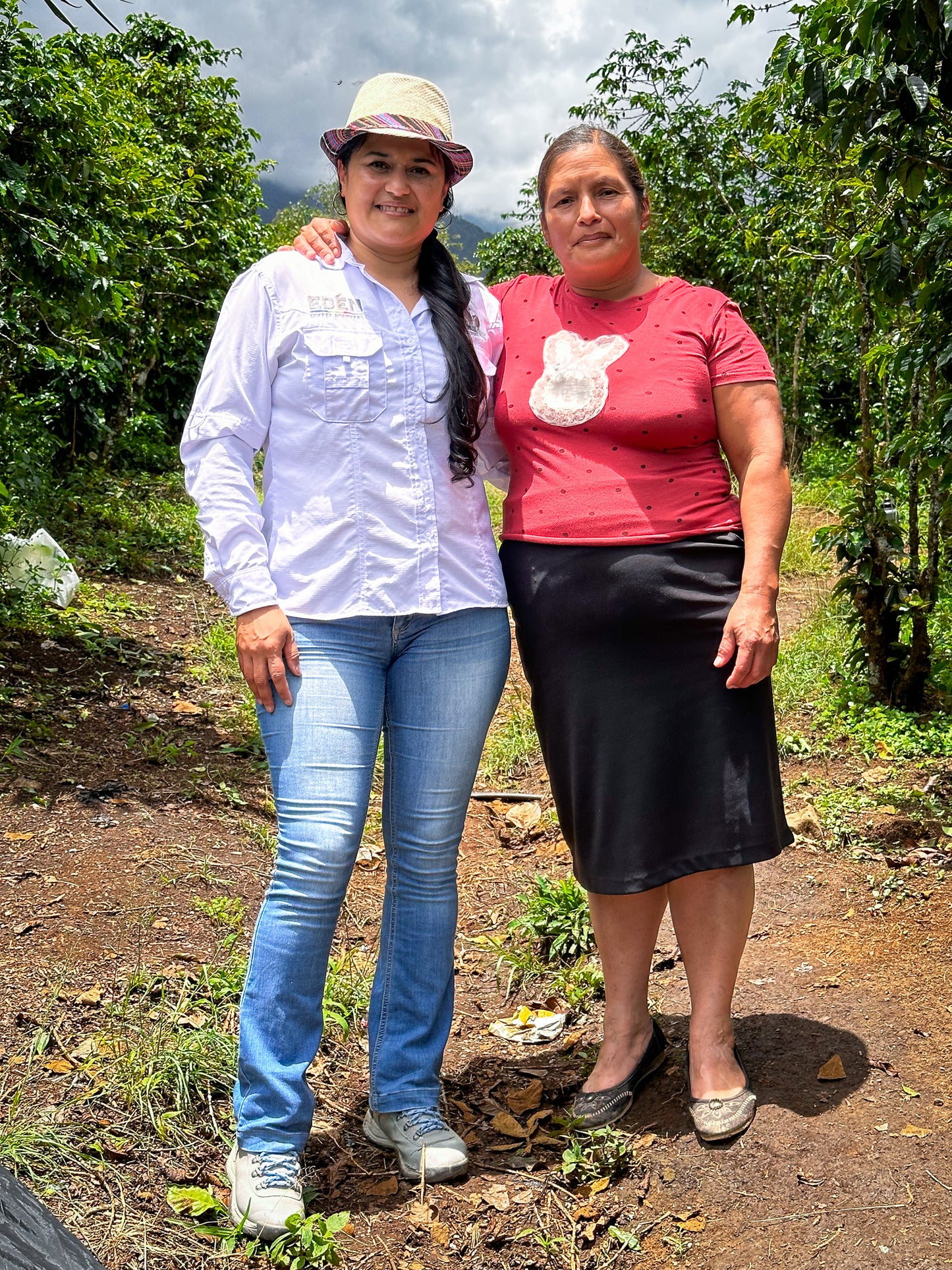 Ella - Washed- Medium - Guatemala