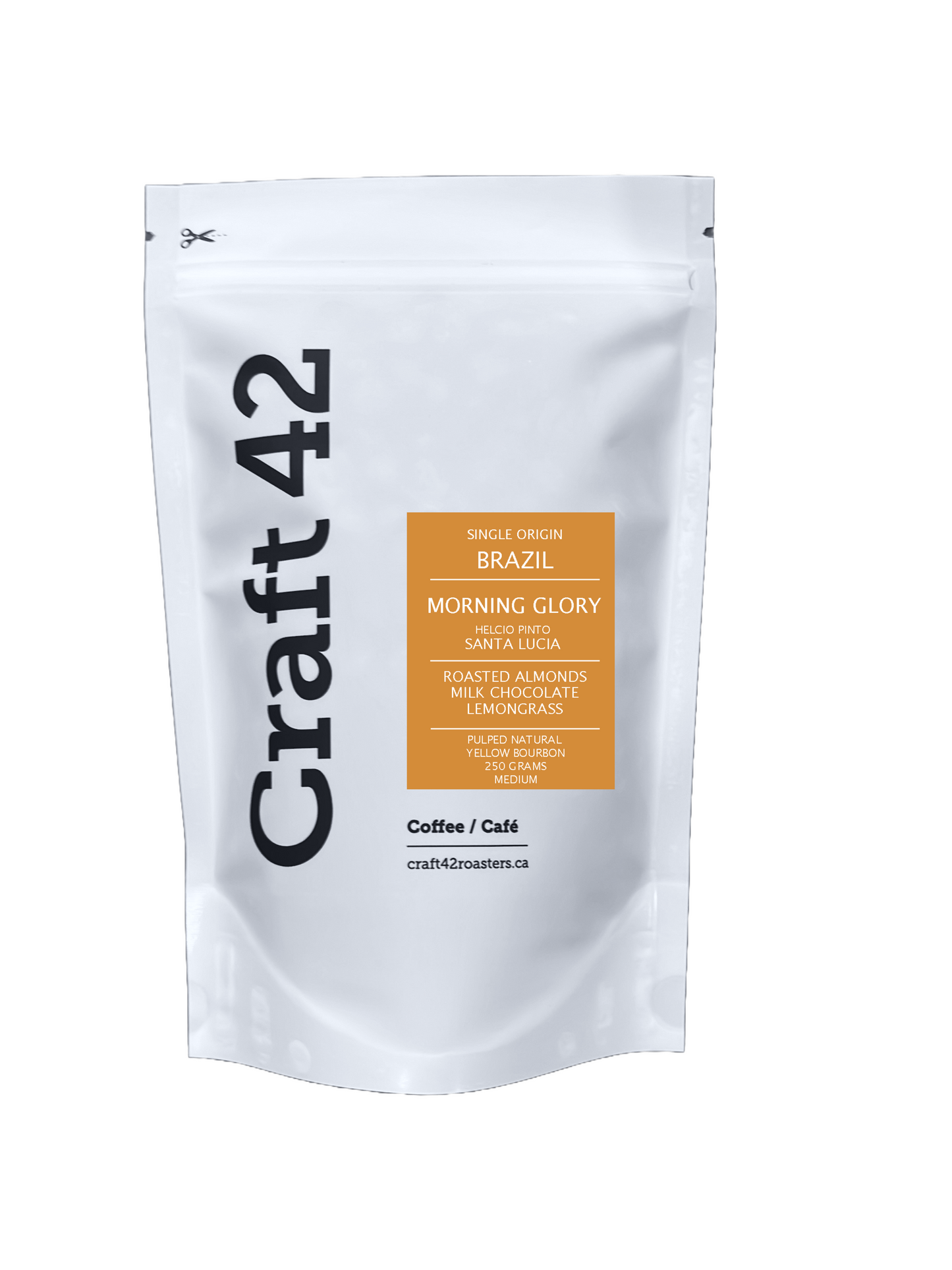 Morning Glory - Pulped Natural - Brazil - Medium