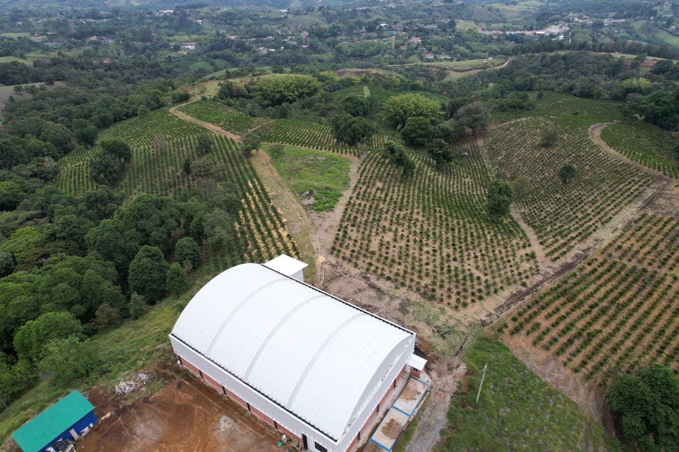 Granja El Paraiso 92 - EA Decaf - Wilton Benitez - Washed Thermal Shock Double Anaerobic - Colombia - Light