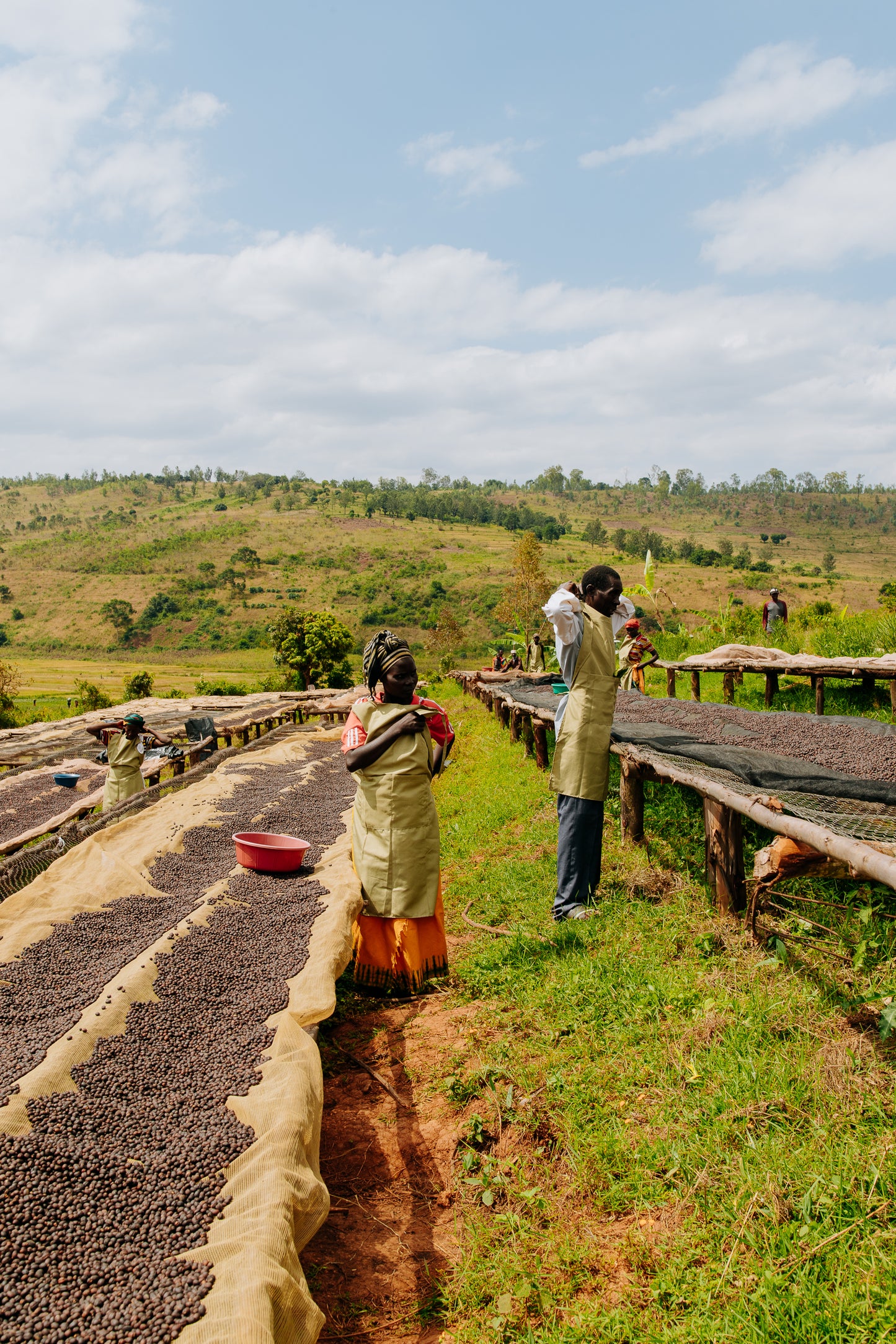 NYAGISHIRU - BURUNDI - LIGHT/MEDIUM