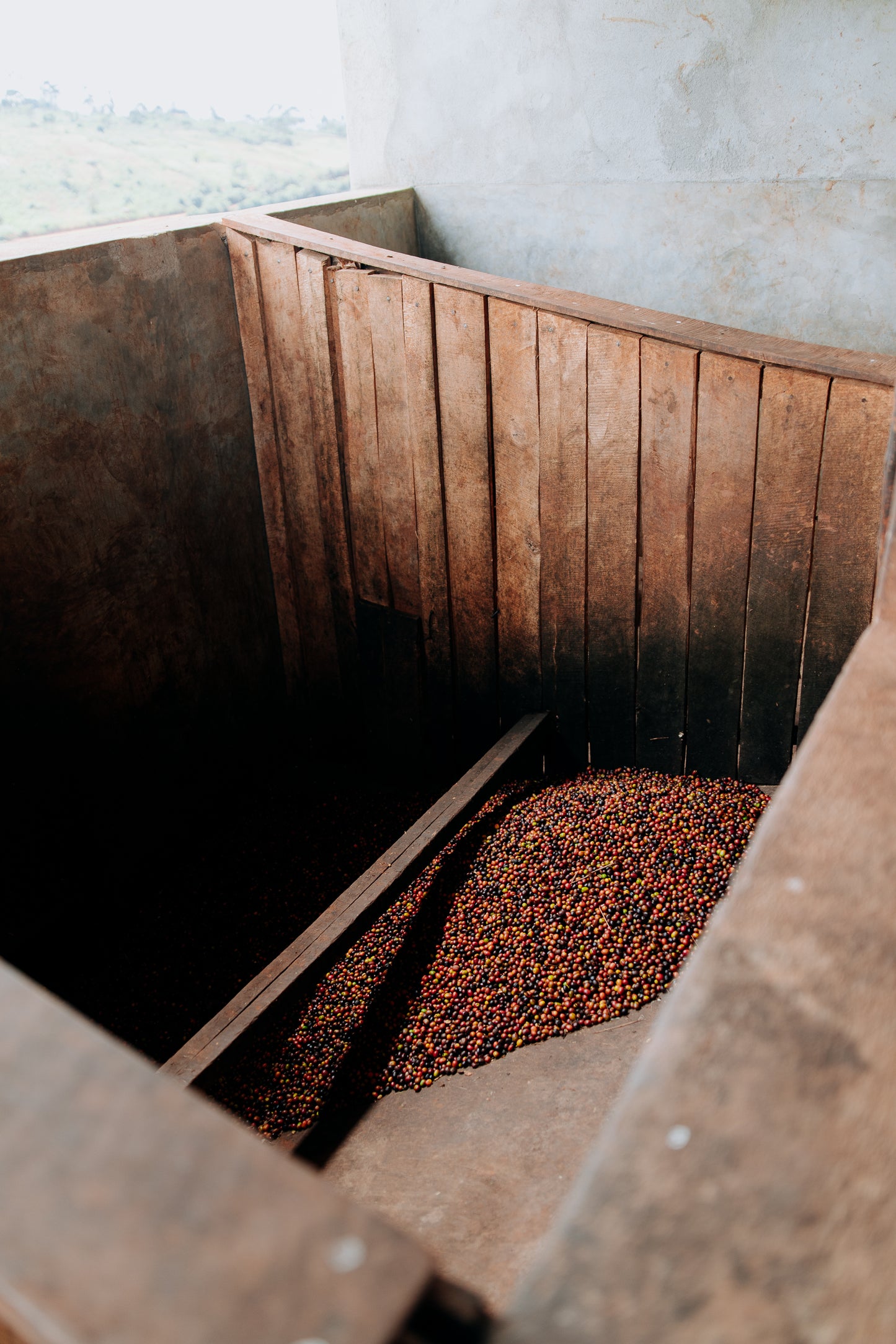 NYAGISHIRU - BURUNDI - LIGHT/MEDIUM