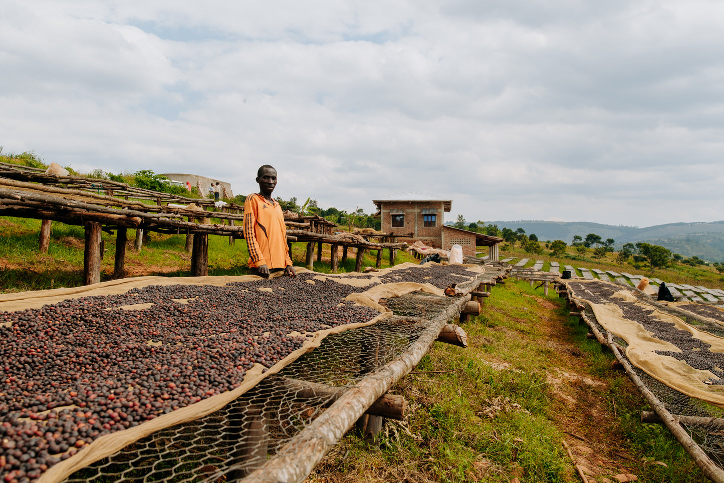 NYAGISHIRU - BURUNDI - LIGHT/MEDIUM