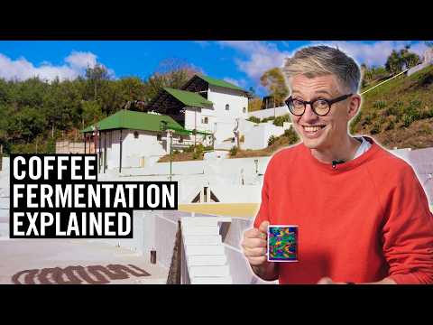 The James Hoffmann Fermentation Project - Craft 42 Roasters