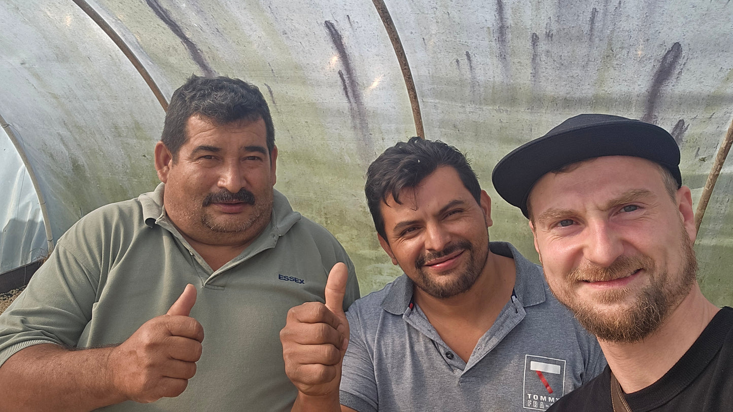 Kelvin Piñeda - Santa Barbara - Honduras - Washed