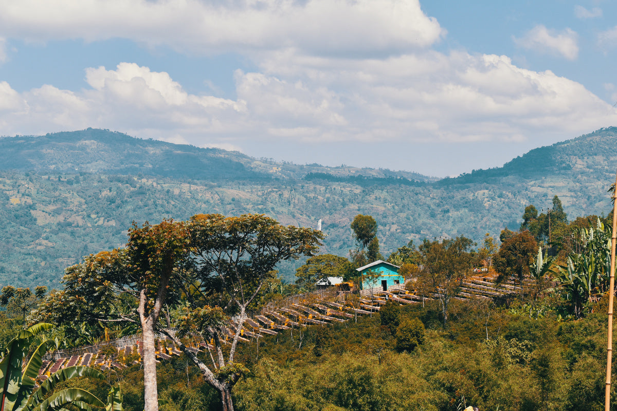 Shantawene - Ethiopia - Natural - Light