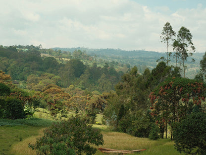 Shantawene - Ethiopia - Natural - Light