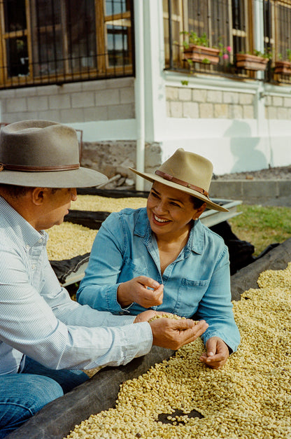 El Puente - Extended Fermentation Washed - Swiss Water Decaf - Honduras - Light