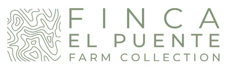 El Puente - Extended Fermentation Washed - Swiss Water Decaf - Honduras - Light