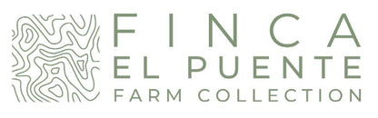 El Puente - Extended Fermentation Washed - Swiss Water Decaf - Honduras - Light