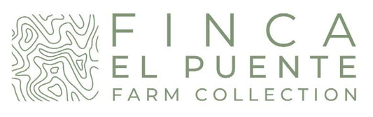 El Puente - Extended Fermentation Washed - Swiss Water Decaf - Honduras - Light