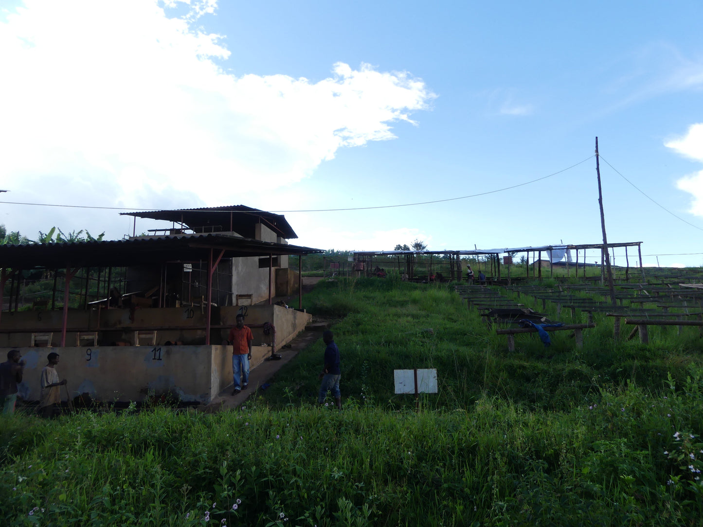 Rimiro - Natural - Light - Burundi