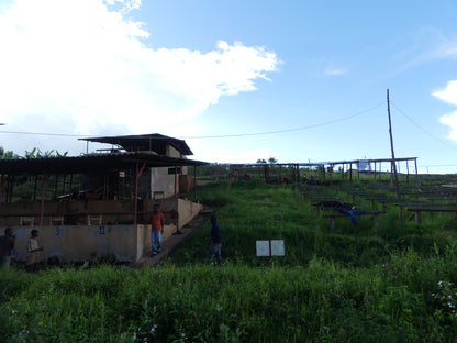 Rimiro - Natural - Light - Burundi