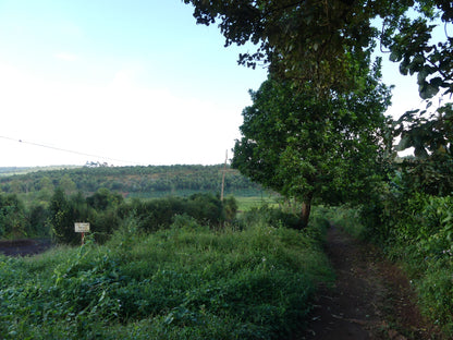 Rimiro - Natural - Light - Burundi