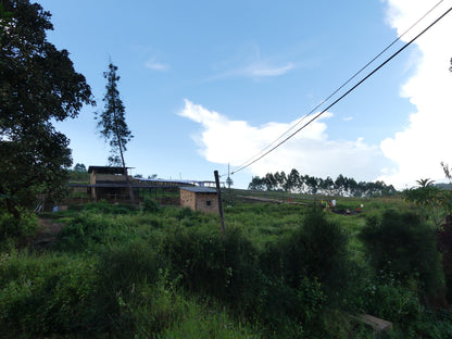 Rimiro - Natural - Light - Burundi