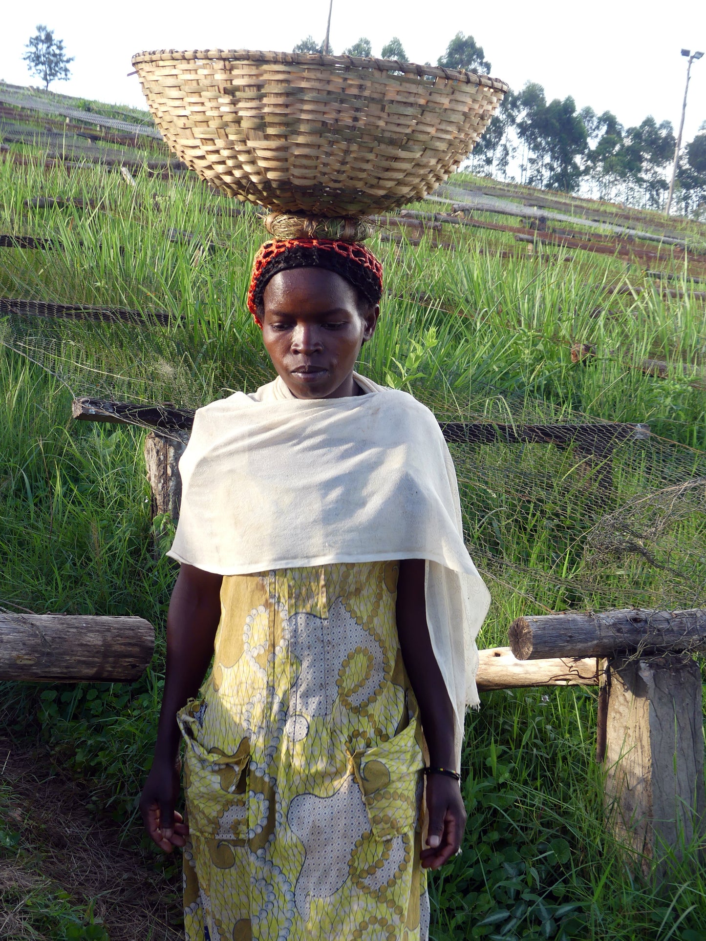 Rimiro - Natural - Light - Burundi