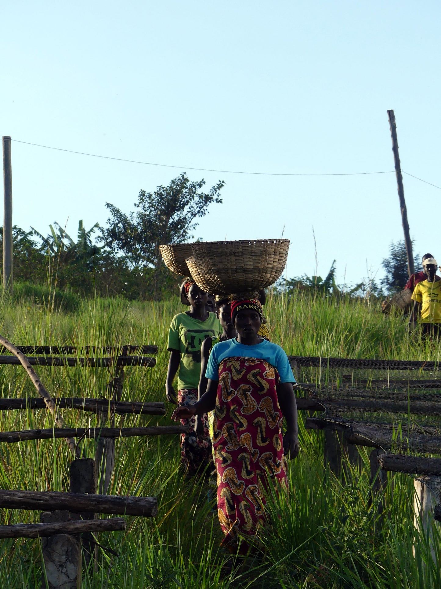 Rimiro - Natural - Light - Burundi