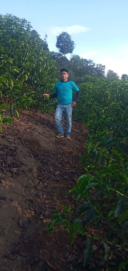 Victor Carhuapomah - Peru - Washed -Gesha