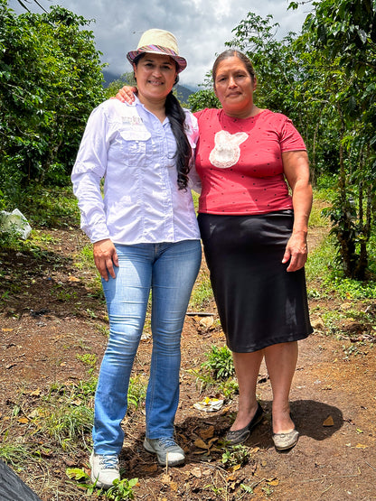 Ella - Washed- Medium - Guatemala